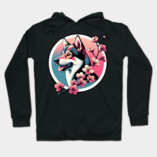 Swedish Vallhund Enjoys Spring Cherry Blossoms Hoodie